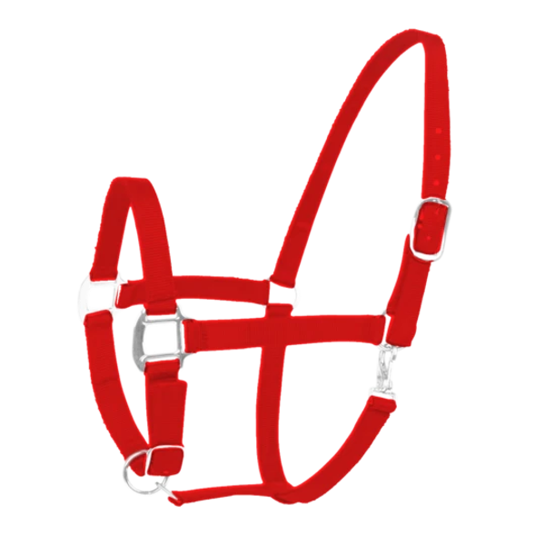 Stevig nylon halster met gesp