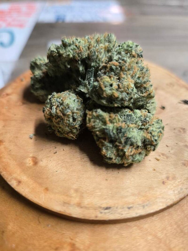 Poison Guava