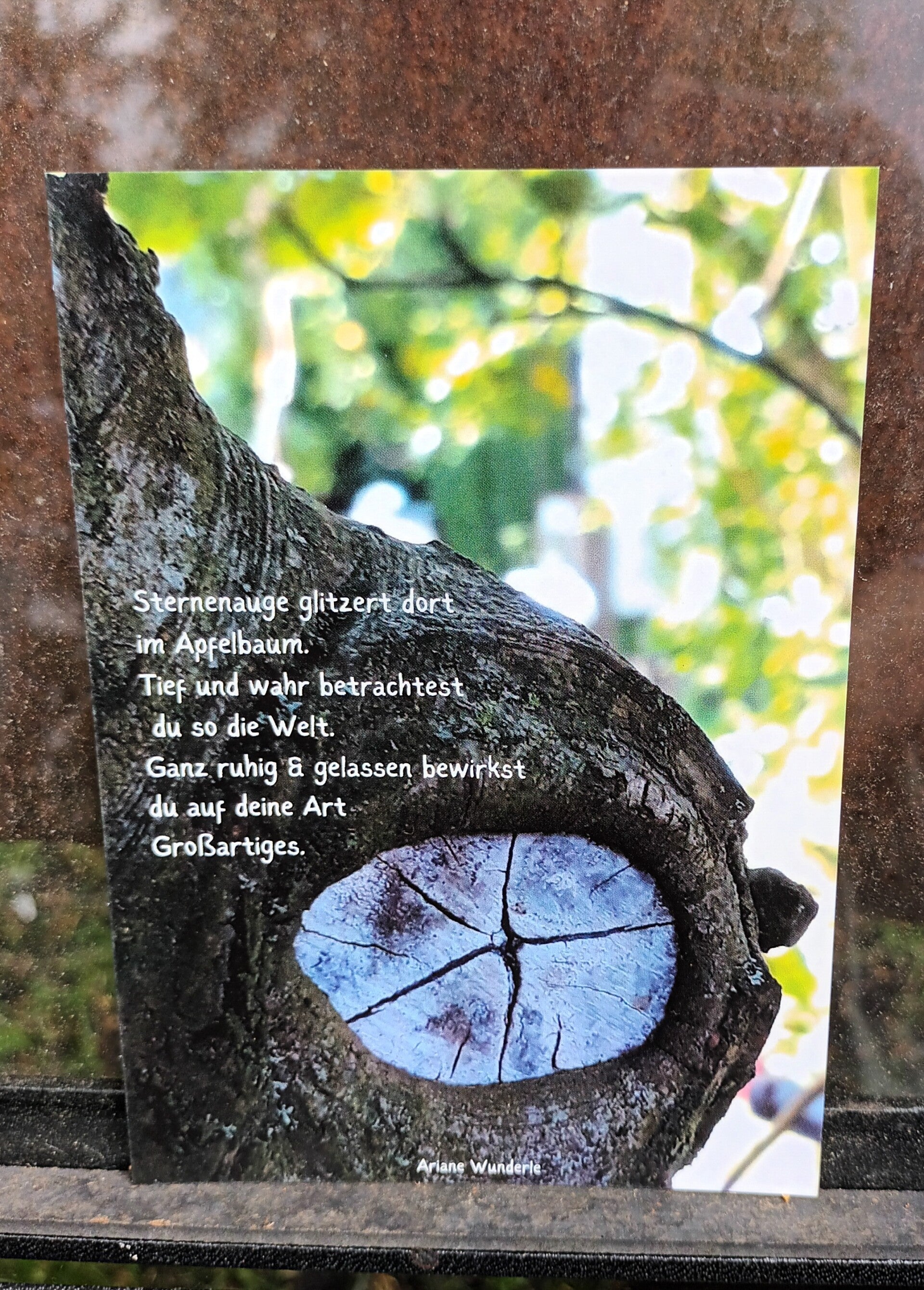 Künstler Postkarte "Sternenauge"