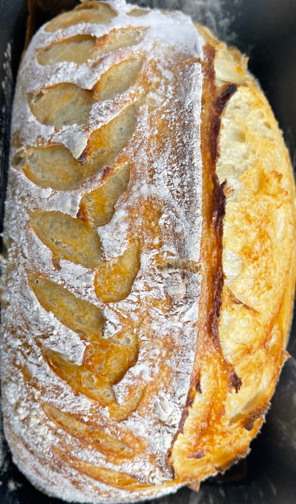 Sourdough Loaf