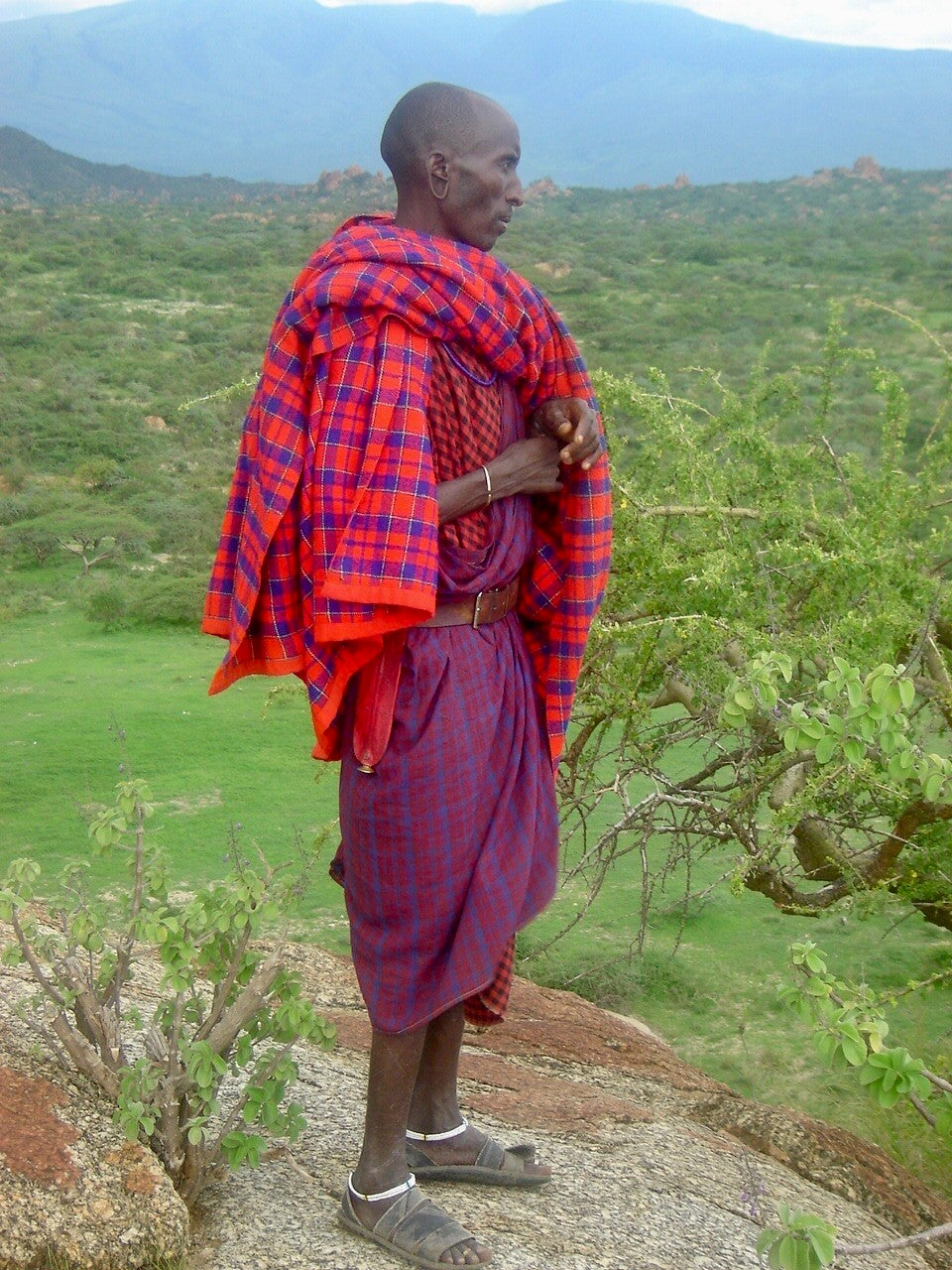 Tanzania, big five , safari