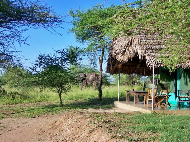 olifant lodge tanzania