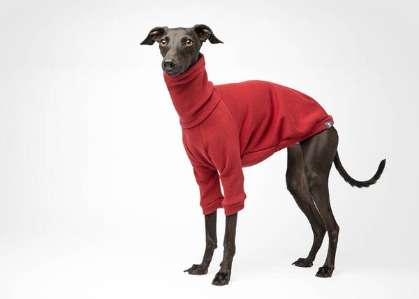 SWEATSHIRT – BORDO