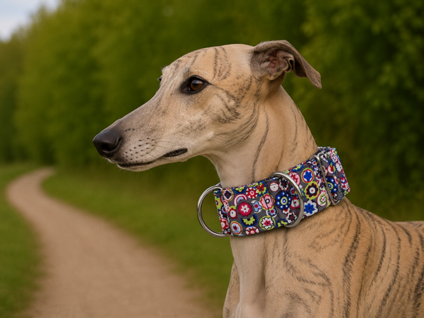 Martingale halsband