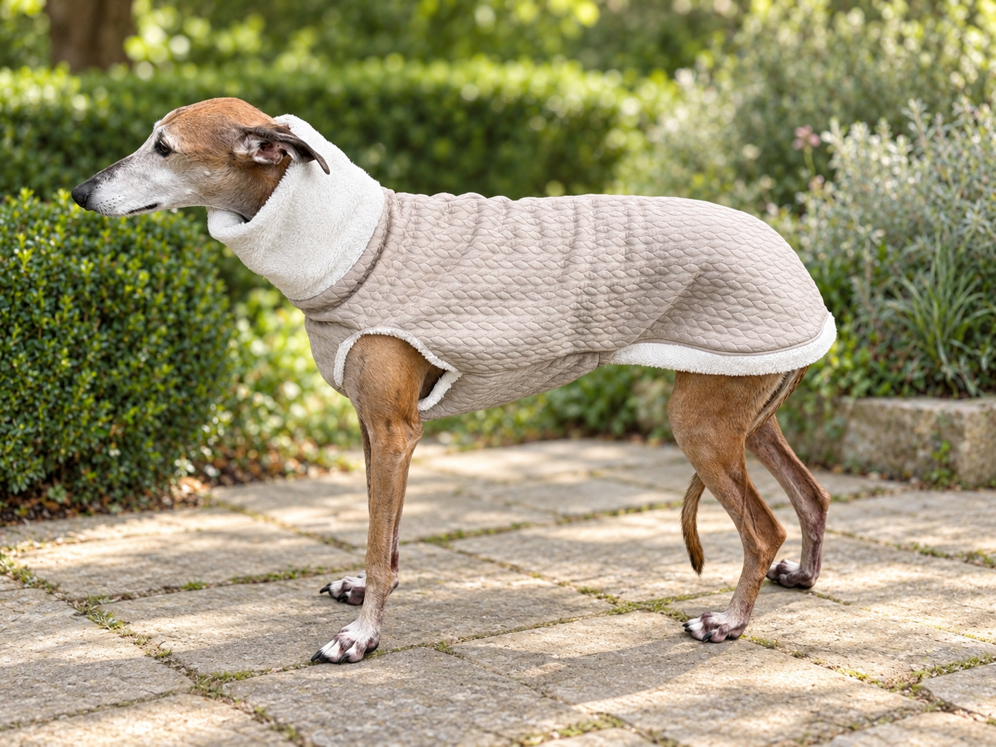Beige body met teddyvoering voor windhonden