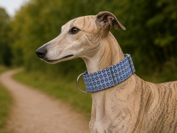Martingale halsband
