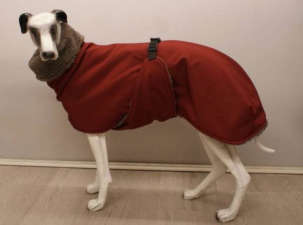 Winterjas