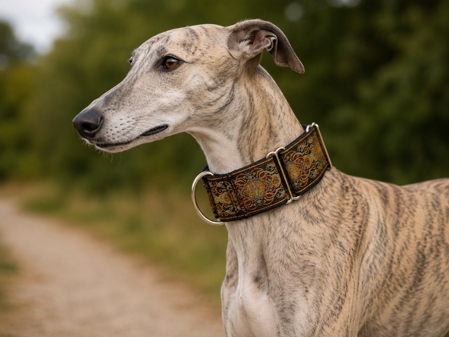 Martingale halsband