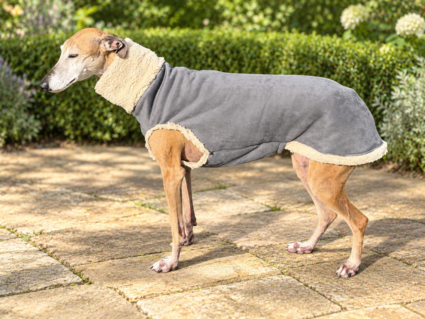 Grijze suède body met schapenvachtlook voor windhonden