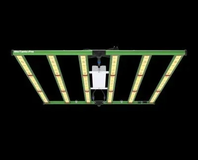BioTanic-Pro Growlights bei KingKongGrow Systems 