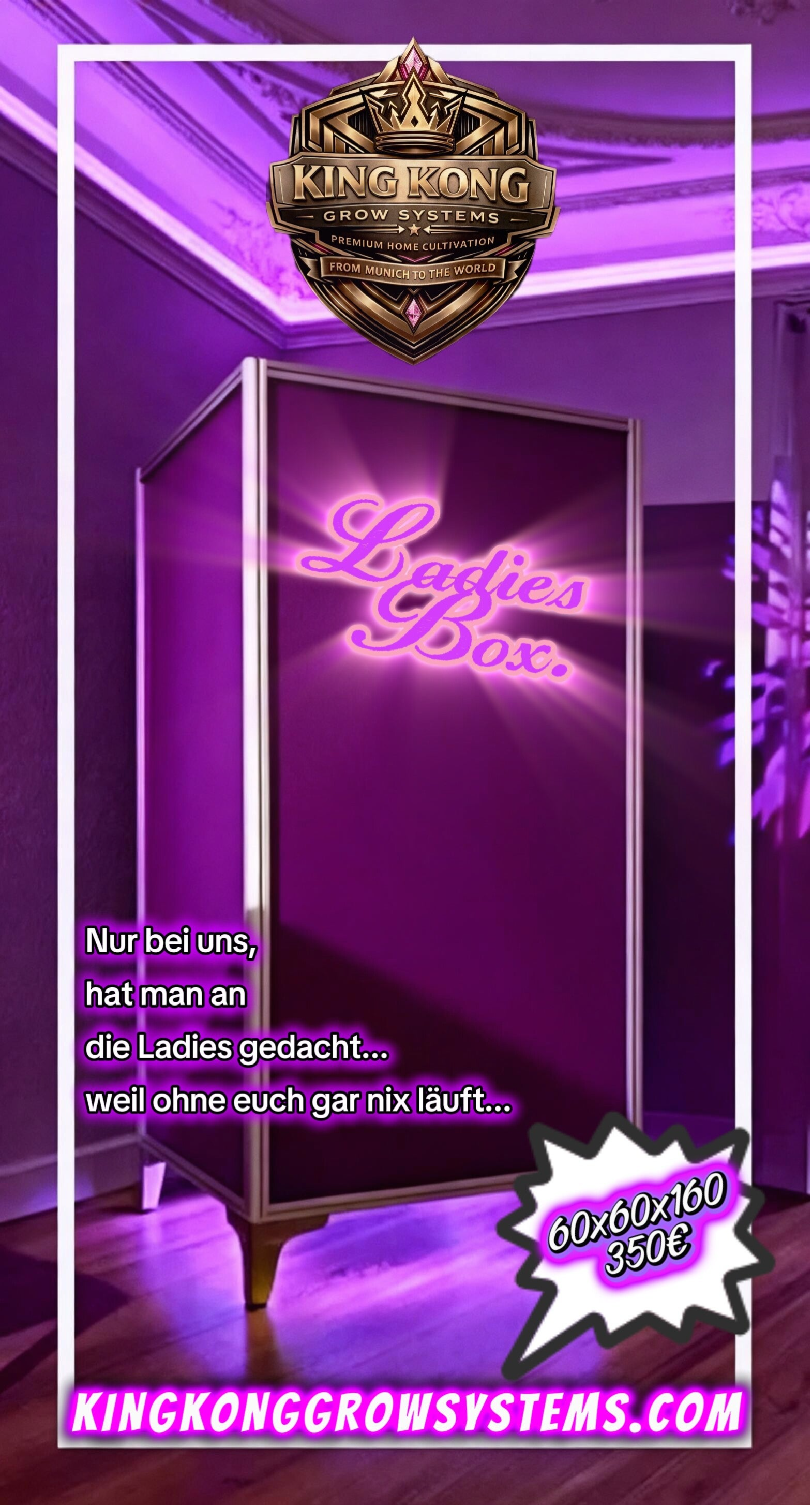 Limited Ladies Box