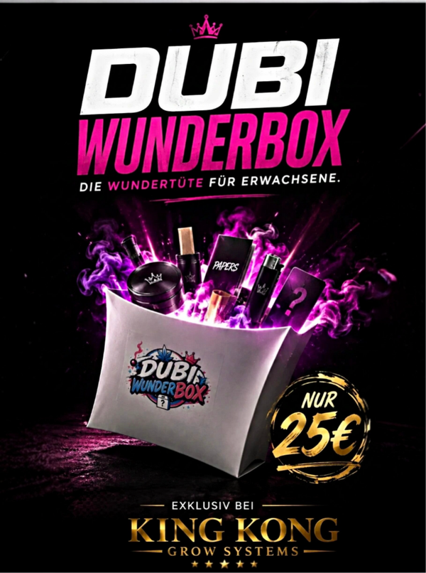 Dubi Wunderbox – Die Wundertüte für Erwachsene! 🎁💨