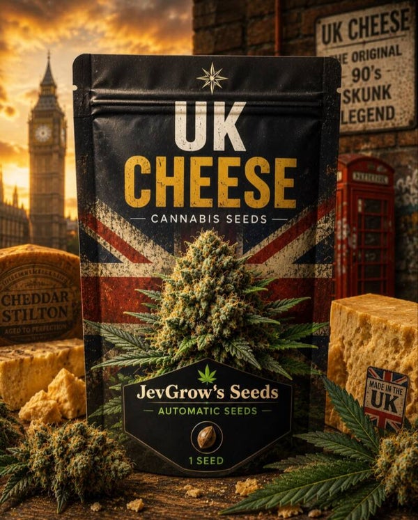 UK Cheese Auto