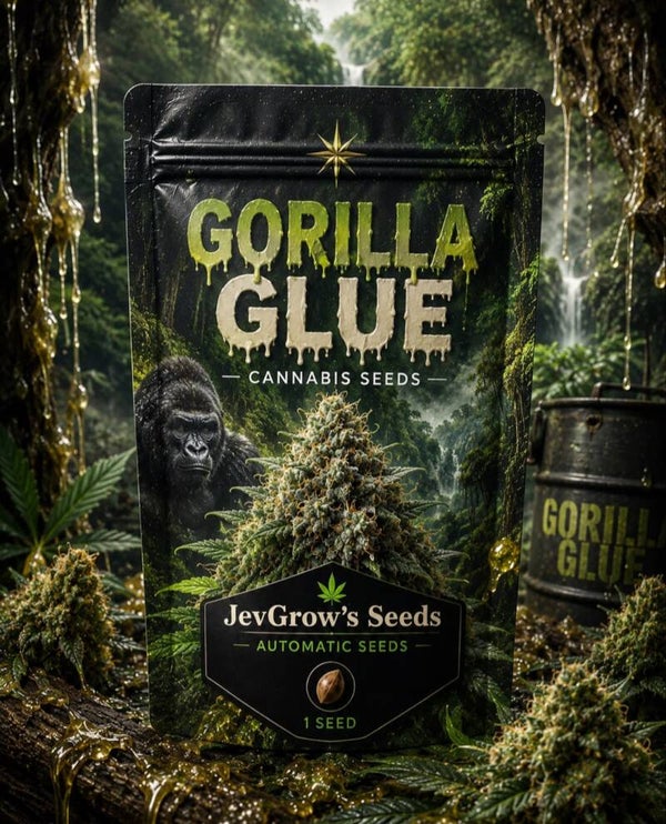 Gorilla Glue Auto