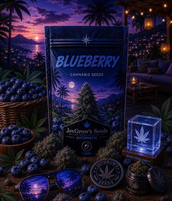 Blueberry Auto