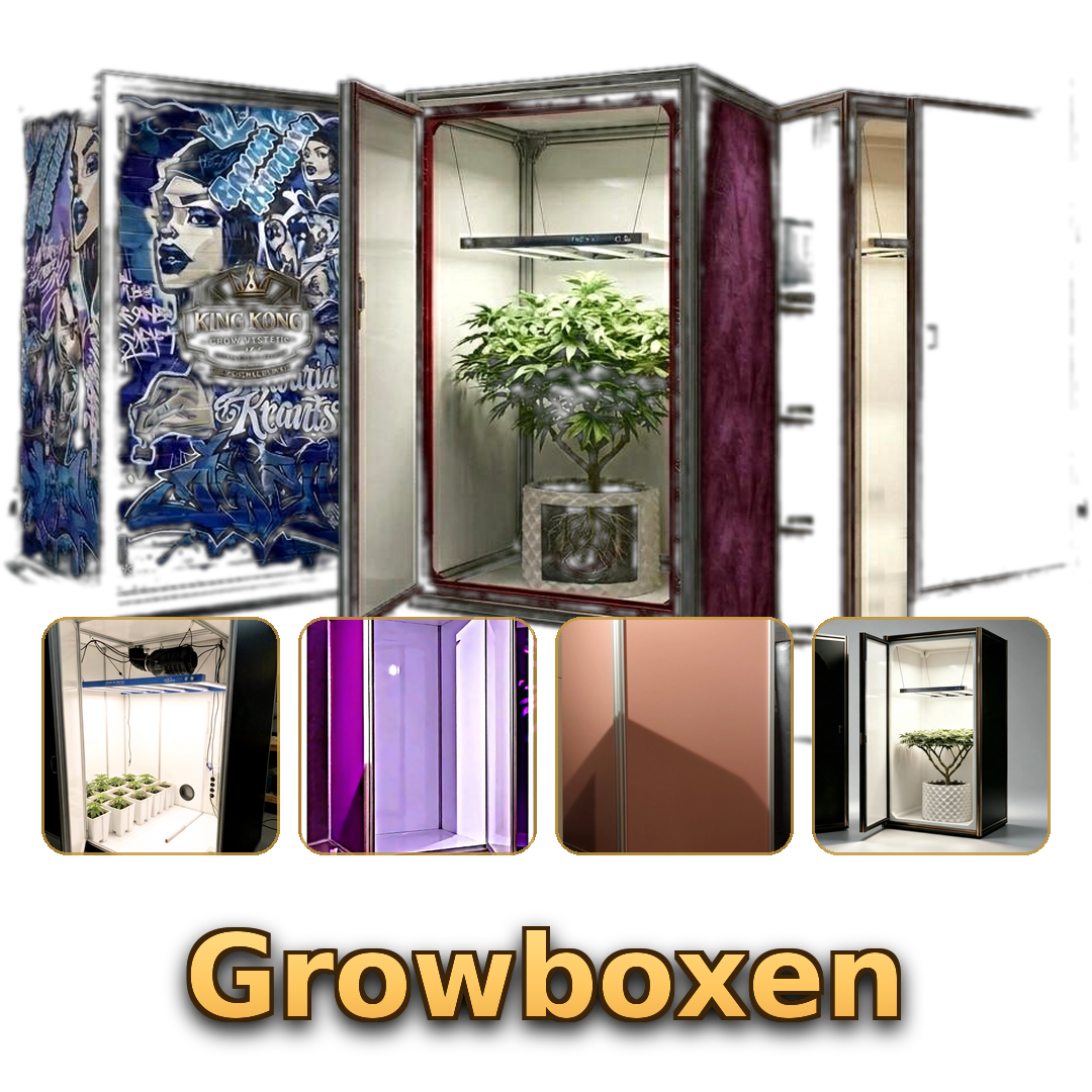 King Kong Grow Systems Growboxen aus München – Hardboxen in individuellen Designs und Farben