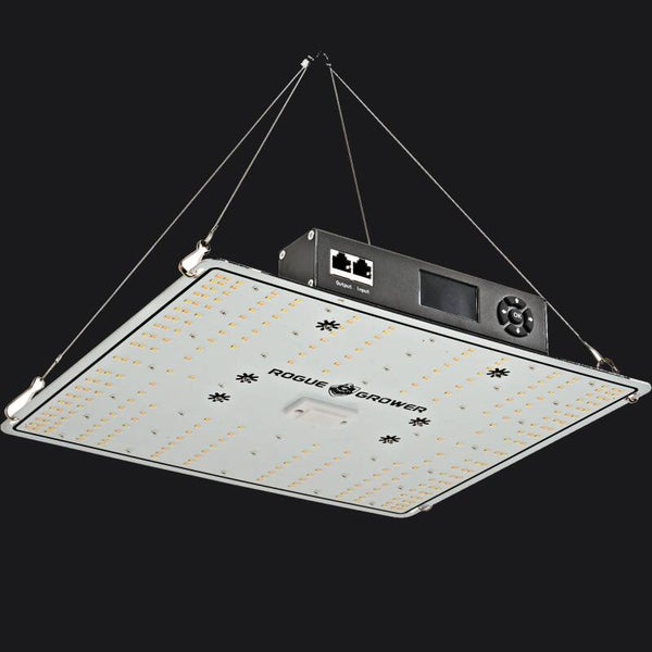 Rouge Grower 100W Growlight - Smart Cockpit & Klimasensor