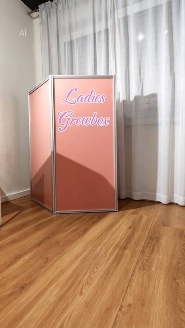 KingKongGrow "Ladies Edition" 80x80x1,60