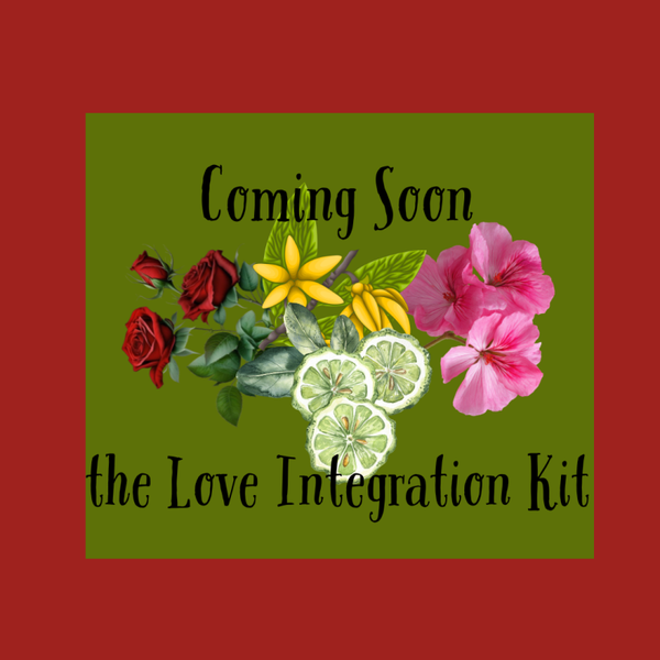 Love Integration Kit