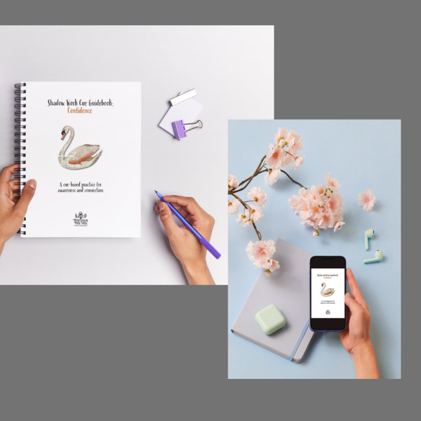 Shadow Work Cue Guidebook: Confidence