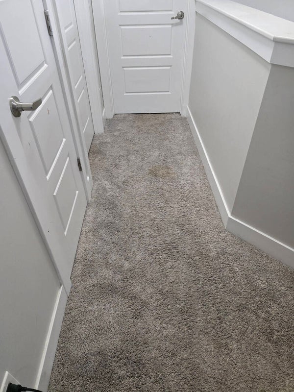 Professional Heated Carpet Cleaning