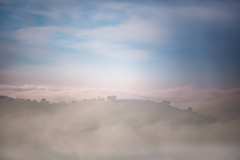misty-morning-1-standard-xz0qz3.jpg