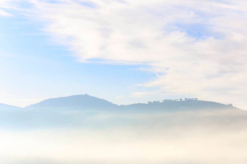 misty-morning-2-standard-7de3ij.jpg