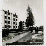 Alm0908.jpg