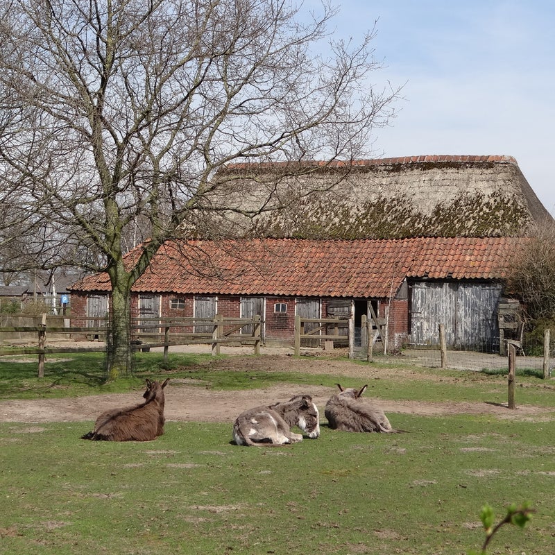 DSC06601.jpg