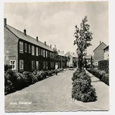 Alm0396.jpg