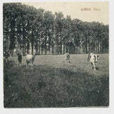 Alm1316.jpg