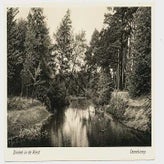 Alm0321-1.jpg