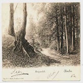 Alm1144.jpg