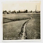 Alm0346.jpg