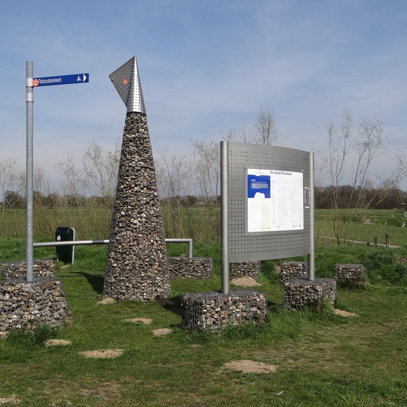 DSC06647.jpg