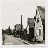 Alm0316.jpg