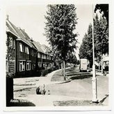 Alm1531.jpg