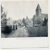 Alm0265.jpg