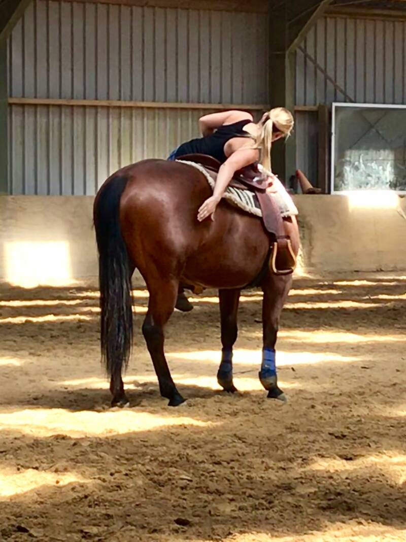 Listo Lena Shine n mister