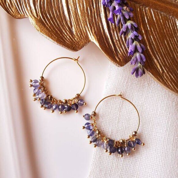 Boucles d'oreilles precieuses