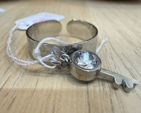 Bague argenté Acier Inoxydable modèle 07