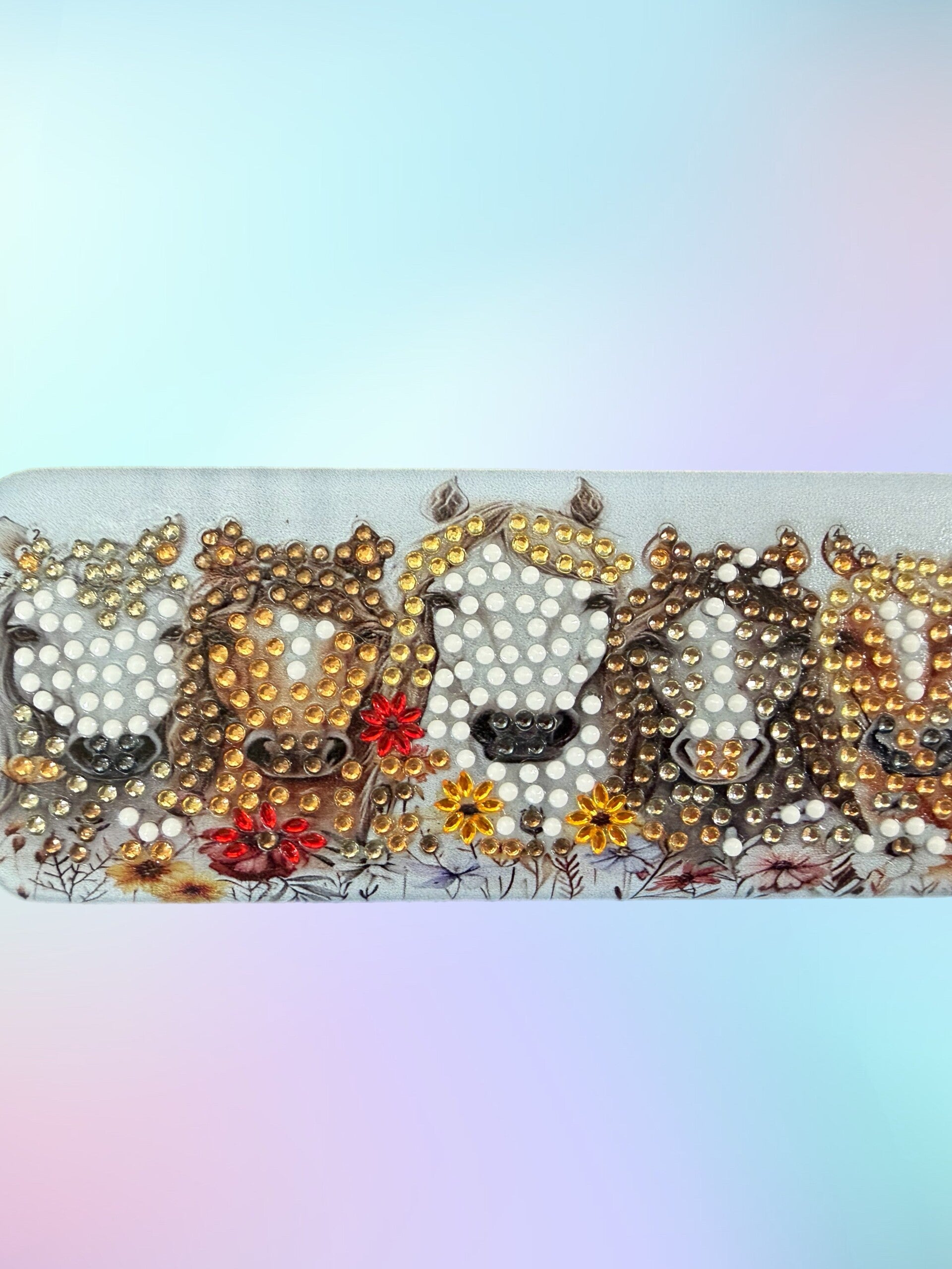 Diamond Art Horses Spectacle Case