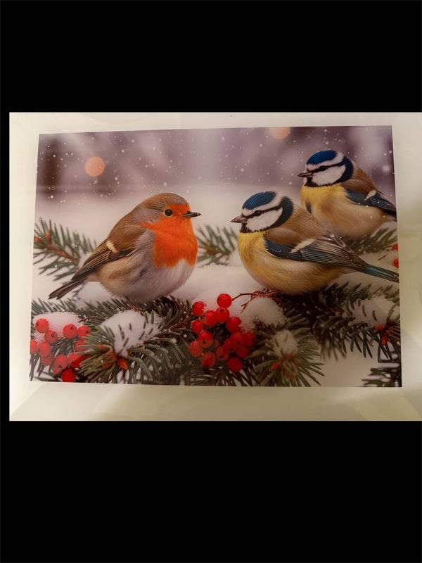 Robin and Blue Tits Chopping Board