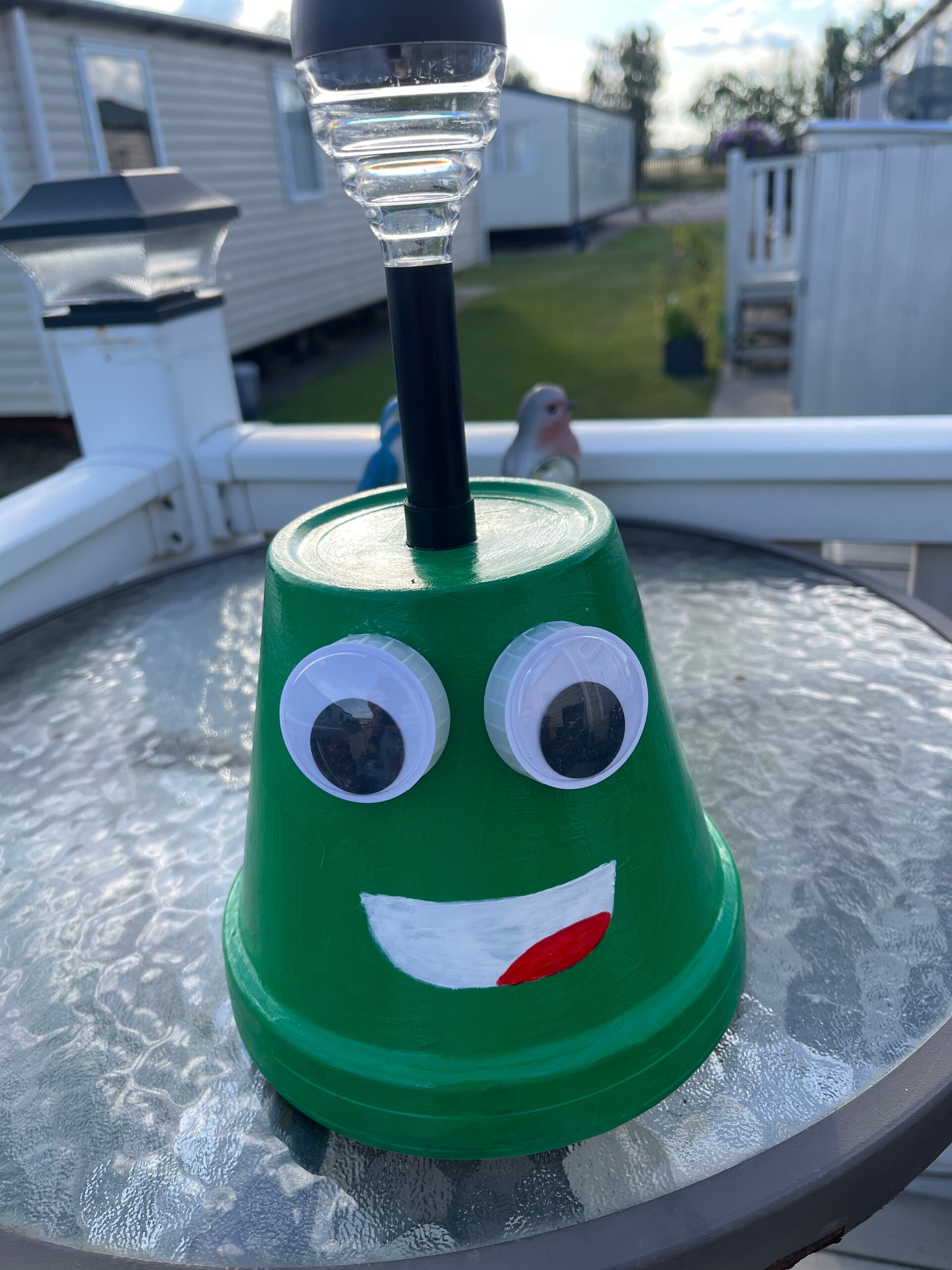 Solar Buddie Frog