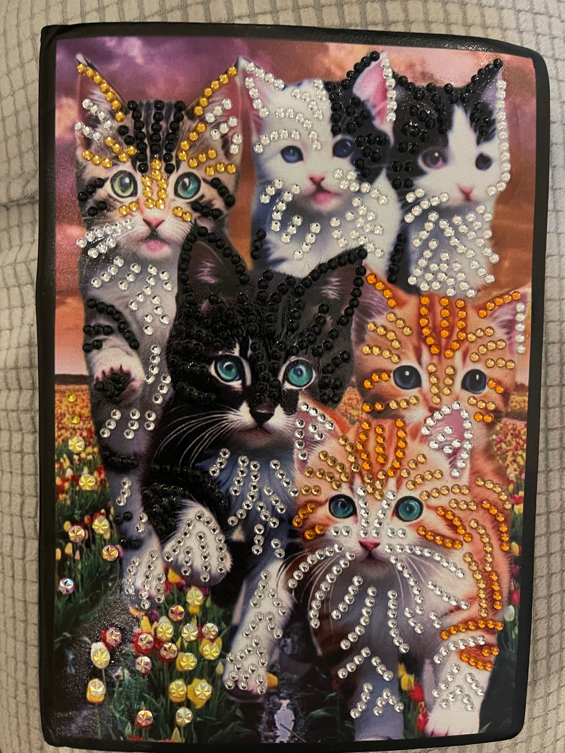 Cat Notebook