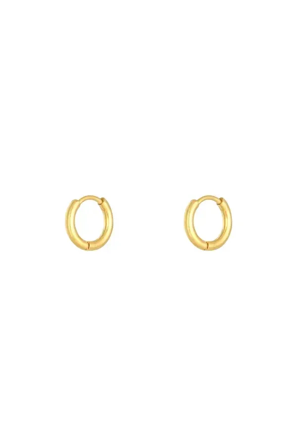Oorbel ring small goud