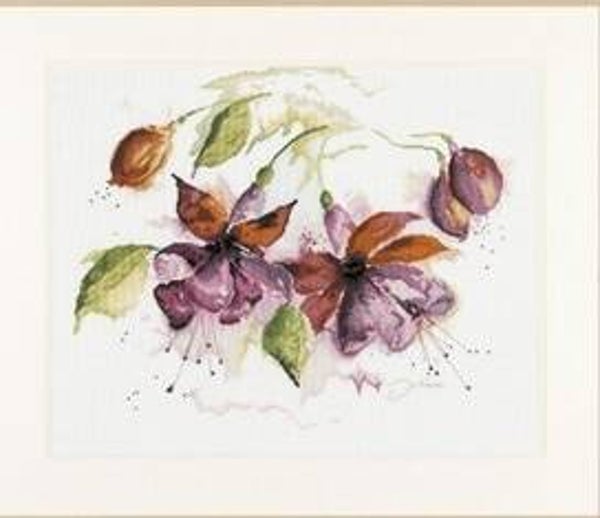 Lanarte Fuchsia in watercolor