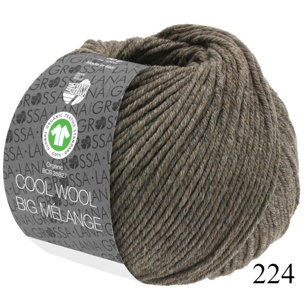 Cool Wool Big Melange biologische wol