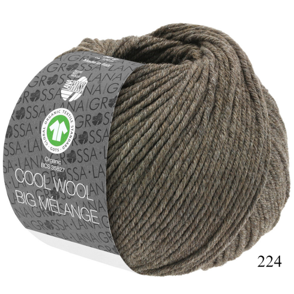 Cool Wool Big Melange biologische wol