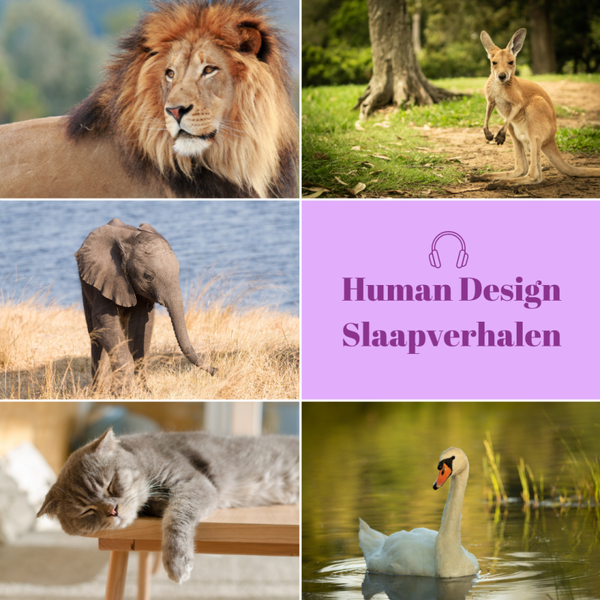 Human Design Slaapverhalen